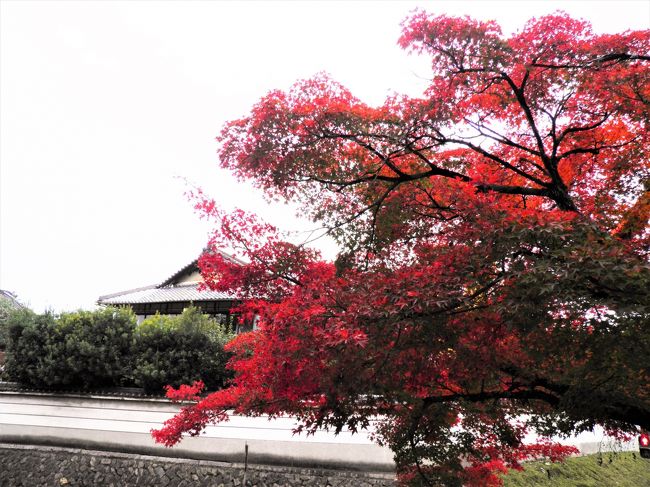 お次は、東大寺方面に向かいます。