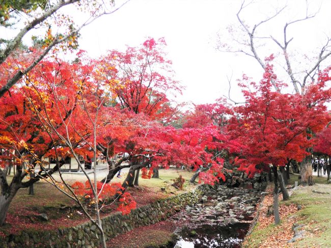 また来ちゃったよ、吉城川。