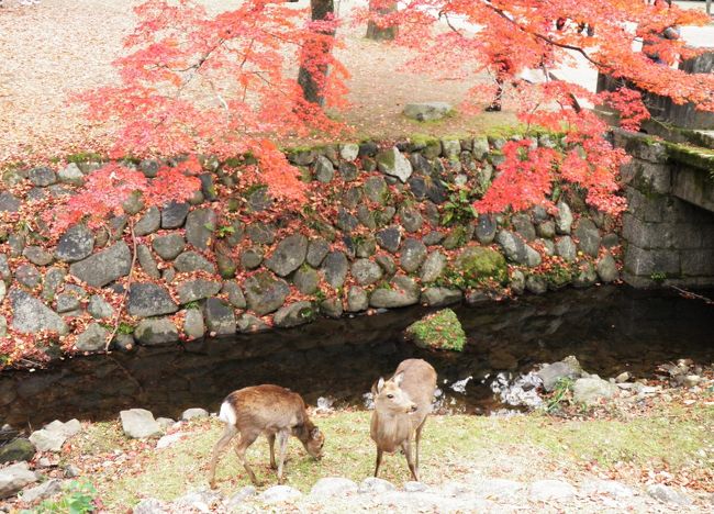 まさかの2日連続。