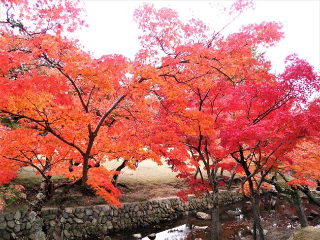 それにしても、見事です。