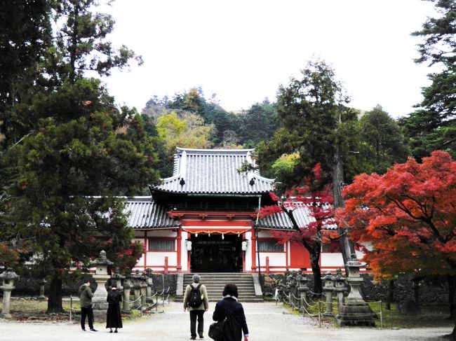 手向山八幡宮。