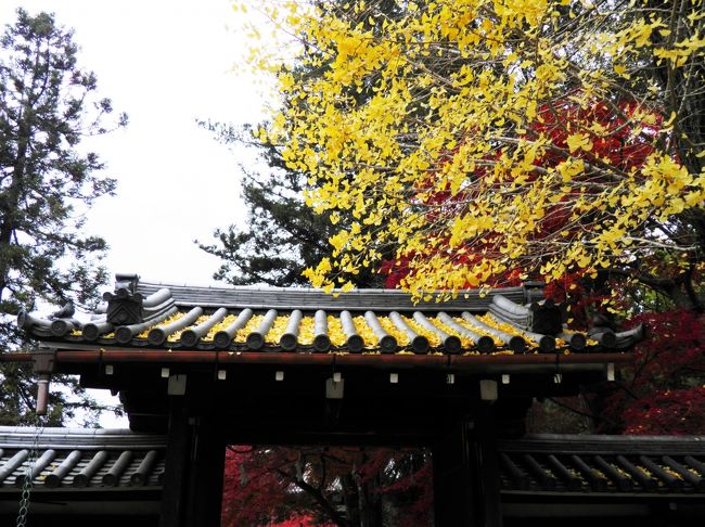 「このたびは　ぬさもとりあへず　手向山　紅葉のにしき　神のまにまに」<br />