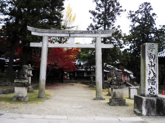 こちらの鳥居からでて二月堂へ。