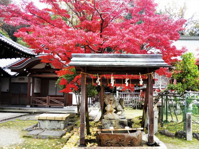 訪れる人は少なめです。