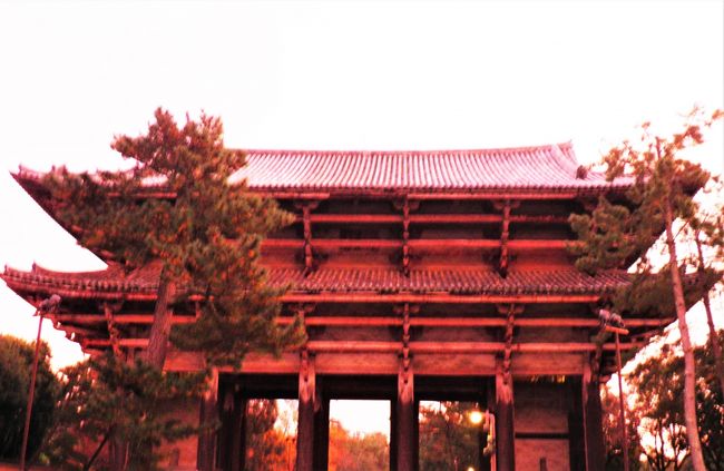 帰ったらシップ貼りまくりです。