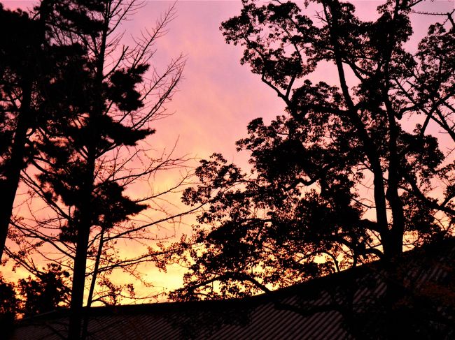 奈良駅まではバスに乗ることにします。