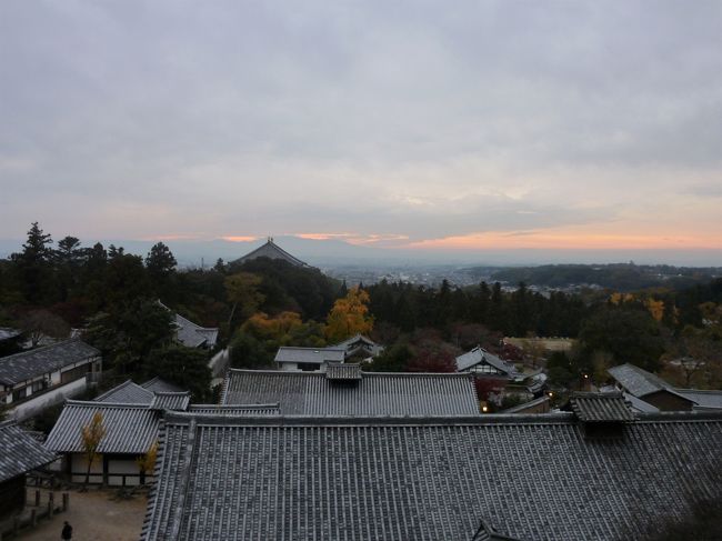 何度来ても最高。