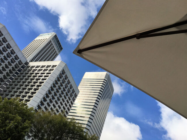 高層ビルに囲まれてはいますが…