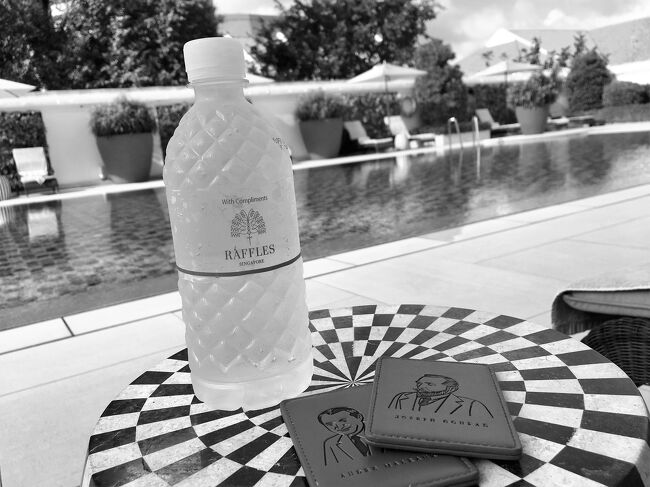 冷たい水を持って来てくれました。<br /><br />このあと，ゆうすけと合流して，昨日も行ったホテル近くのフット・リフレクソロジーに行きました。