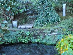 浄智寺の前まで来ると、そこには澄んだ水を湛える池がある。
その畔にある小さな井戸が、鎌倉十井のひとつ、甘露の井だ。
