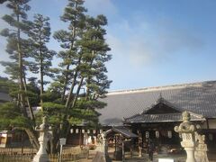 抜けてすぐのところにあるのが、こちらの大願寺。

厳島神社の陰に隠れて、全国的な知名度はないかと思いますが、本堂向かって左手に聳える、廿日市市天然記念物の九本松や、厳島大仏といった名所もあって、なかなか見応えがあるお寺でした。