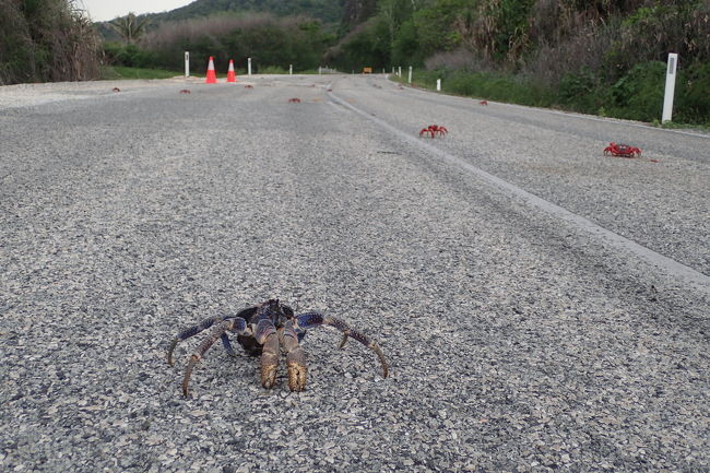 真っ赤なカニであふれるクリスマス島でサイクリングしてきた その他の観光地 オーストラリア の旅行記 ブログ By こぼちゃさん フォートラベル