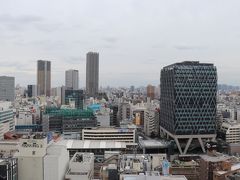 西武池袋線の池袋駅や。