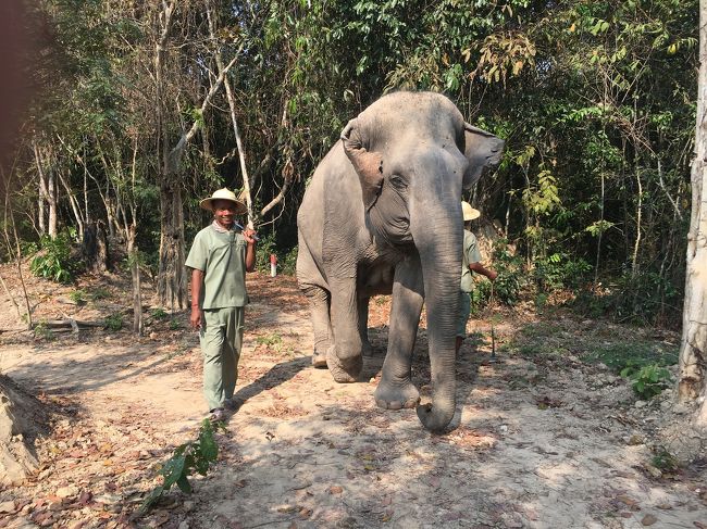 象使いと一緒に
