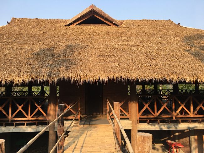 象の楽園に到着