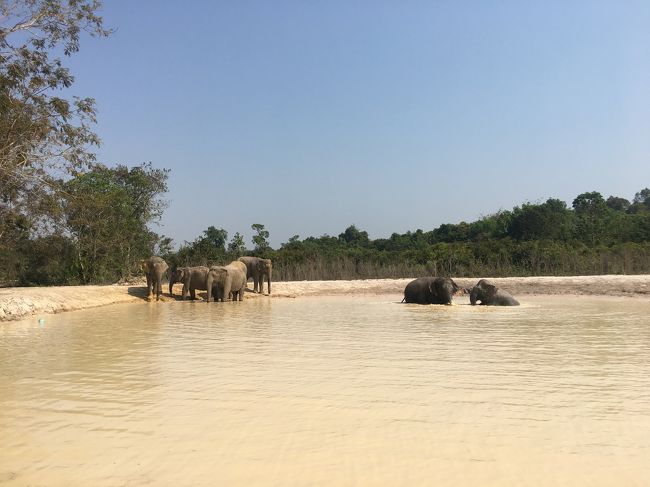 気持ちいいな～