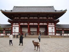 普段は開かずの門ですが毎年1月1日の0時から8時までの間、中門（重要文化財）が開かれ、金堂（大仏殿・国宝）内に無料で入堂できる（通常入堂料：大人500円・小人300円）。参拝は午前7時半から受け付けている。