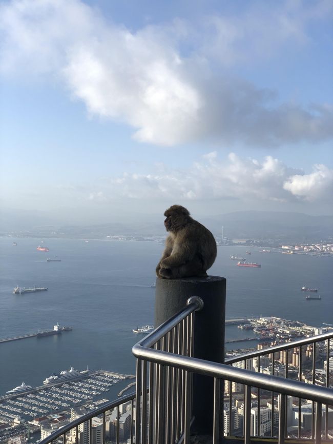 19 秋のモロッコ旅行 その4 2 猿とジブラルタル ジブラルタル ジブラルタル の旅行記 ブログ By Dj Tamaさん フォートラベル