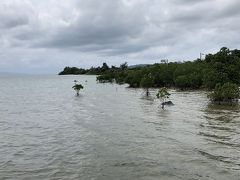 名蔵湾を左手に北西へ進んでいくと、
車窓からマングローブを発見！！
よってもらう事に。

小さな東屋のある駐車場から、石段を降りて海まで行けます。
まったりしていると沢山人がやってきたので退散。

人がいるところには人が集まる。よくある事ですね。