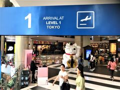 Terminal 21（ターミナル21）

12月05日（木）　　15:15

M階（日本の2階）から1階（日本の3階）に
上がるとここは TOKYO フロアで
何とも言えない招き猫がお出迎え～～

※Terminal 21（ターミナル21）は
　空港ターミナルがコンセプトの
　ショッピングモールで
　各フロアはそれぞれの国の
　特徴が生かされています。

