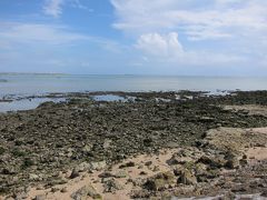 写真の場所は瀬永島の付け根の南側の場所です。
カニ公園ではないけど近いのでここにマークしました。
すっかり整備されてしまった瀬永島ですが、ここだけは何となく
昔の手つかずの自然が残っていました。