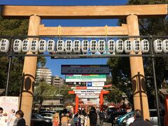 翌日は生田神社へ。丁度成人式の日だったので晴れ着の若者がちらほら。晴れて良かったね。こういうどでかい鳥居もかっこいいです