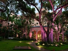 お早う御座います～～
今朝も超早起きのklklさんです

何と！朝の6時ですよ
(大汗)

ほんまにklklさんには有り得ない行動ですが
大変お世話になったネコ様と最後の朝食
(彼女は朝一で訪れるのがお好き)

お陰で、初めて見ました
お隣ピンクパレスが朝でもライティングアップして居るところを～～ニコリ

