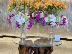 Halepuna　　

“House of Welcoming Water”- ハレプナ ワイキキ バイ ハレクラニ。 ハワイ語で館を意味する“ハレ”と、泉の“プナ”。 活力に満ちた朝の陽光をも思わせる花、ポーフエフエ（英名：ビーチモーニンググローリー）の シンボルとともに、洗練されつつも温かい、新しいワイキキの魅力でお迎えいたします。
(HPより)


