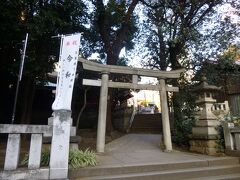 金王八幡宮（西の鳥居・西参道）

日本で一番多いといわれる八幡宮
祭神は、八幡様といえばの応神天皇

社名の「金王」は、この地に居城を築いた渋谷金王丸常光が由来だそう