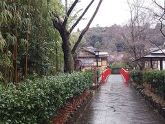 修善寺を後にし、竹林の小径にやって来ました。
なかなか風情のある良い場所です。
奥に見えるのは「かつら橋」です。