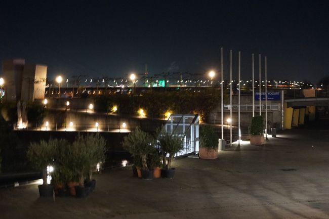 少し先はライン川のようですが、暗くてよくわからず…。