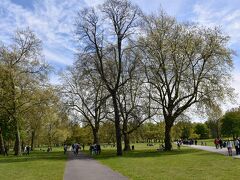 イギリスの公園、木が大きい！
そして美しい～。
手入れされてます。