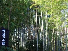 修善寺温泉 竹林の小径
人があまりいなかったので、ゆっくり小径を歩きました。
