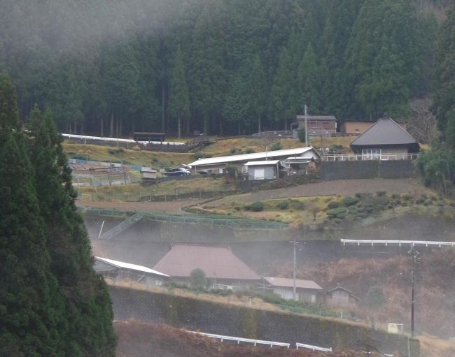 奥祖谷の急峻な山肌に張り付いた落合集落と 名頃かかしの里 祖谷渓 かずら橋 大歩危 徳島県 の旅行記 ブログ By ミズ旅撮る人さん フォートラベル
