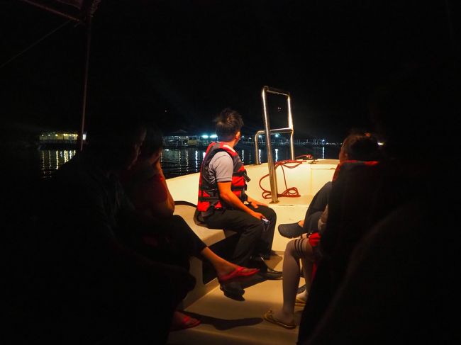 さあ、お待ちかねのホタル観賞<br /><br />真っ暗な中、今日は曇っていて月も見えないので、ホタル観賞には良いみたいです<br />マングローブの林の中に進むと<br />「あっ！光ってる」<br />必死に探します<br /><br />