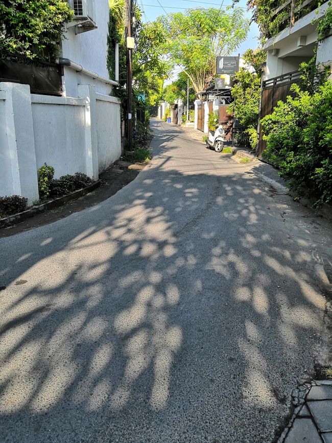 どんつきを左・・・は、こんな感じ(笑)　<br />ちなみにこちら方面は行き止まりです。<br />実はピロ君何度も間違えてます(笑)<br />