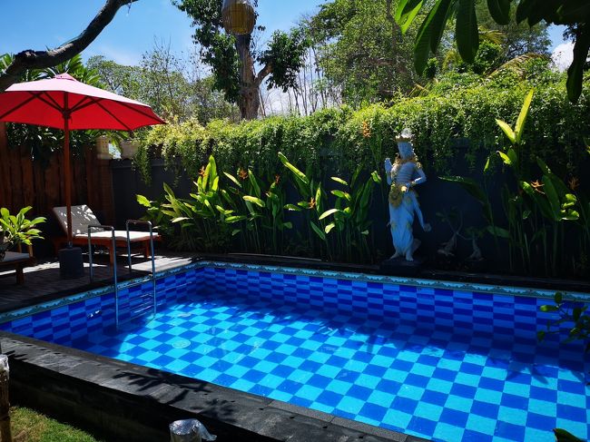 プライベートビラ感覚です。<br />まさか、裸では泳ぎませんよ～(#^^#)