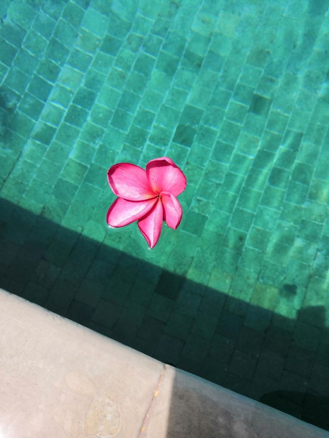 いつも空港に迎えに来てもらったり、<br />ギリ行きのチケットを手配してもらっている<br />MONAさんに３番目のお子ちゃんが誕生しました。