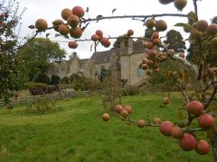 マナーハウス内のリンゴ園