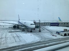 新千歳空港

前日までの天気が嘘のような・・・
やはり自分は雪の遣いではないだろうか？(#^.^#)

2019年　函館（12月）旭川（1月2月）
2018年　札幌（12月）札幌（2月）
2017年　長野（12月）札幌（1月）長野（1月）
2016年　札幌、旭川、小樽（12月）

など全て当日雪が降ります。

