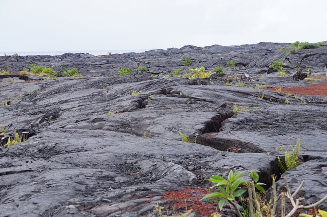 ハワイ島12日間 7日 8日目 カラパナ プナ Hilo ペトログリフ古代文字 Kona ハワイ島 ハワイ の旅行記 ブログ By ゆーちさん フォートラベル ハワイ島12日間 7日 8日目 カラパナ プナ Hilo ペトログリフ古代文字 Kona ハワイ島 ハワイ の旅行記 ブログ By ゆーちさん フォートラベル