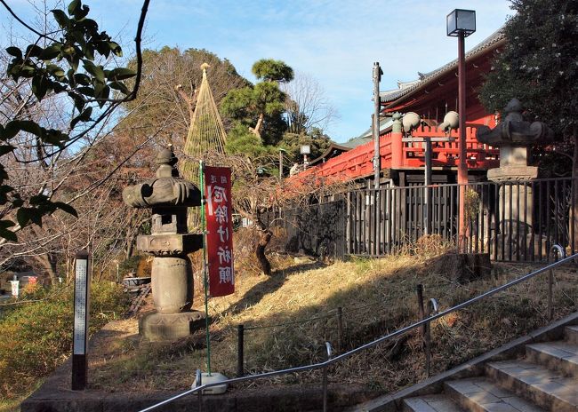 上野恩賜公園2くるっと古墳から西郷像辺り♪』上野・御徒町