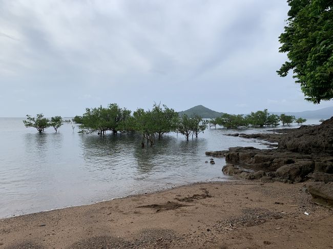 海岸に着きました