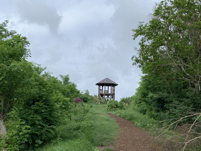 展望台があるようですが