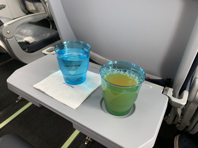 1時間ほどのフライトなのでドリンクサービス、食事はないよう