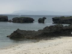 おそらくこれが本当の振り向き牛の岩！！

か、可愛い！！
仔牛っぽい！！
ノッチ岩なんですね。