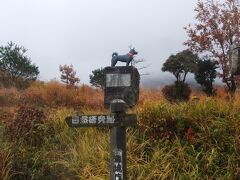 今回は少しだけ時間があるので、タデ原湿原を散策していくことにします。