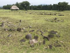 大湯環状列石、円形やひし形に並べられた配石構造がいくつも連なり、