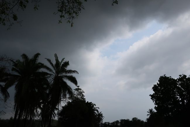 天候が怪しくなってきた...ポツリときたが、大雨にならず。
