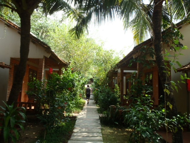 部屋へ通じる通路脇には木々が多くて涼しい感じ。